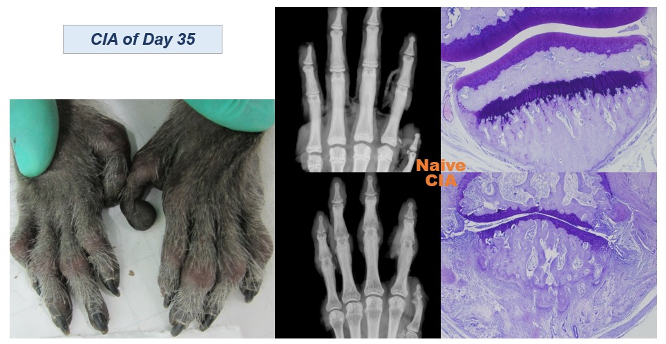 屏幕截图 2025-12-16 082115.jpg